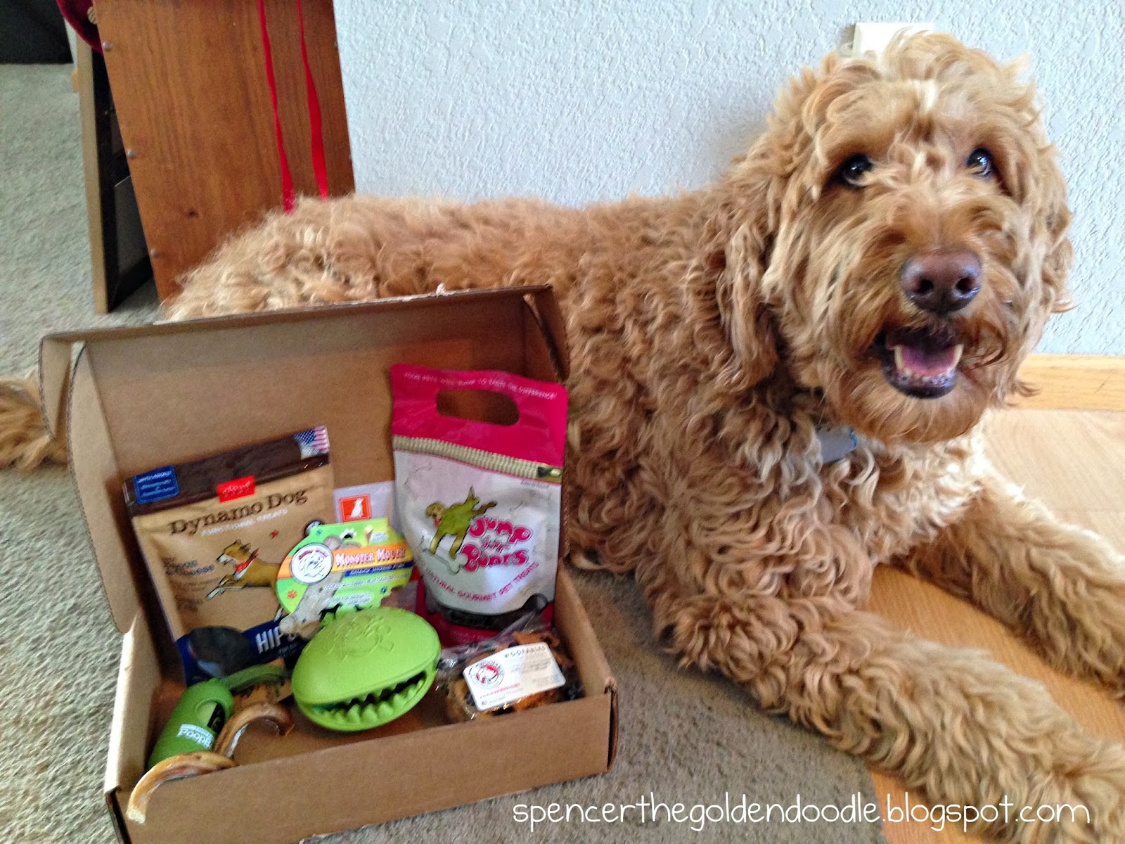 Spencer the Goldendoodle Happy Dog Box